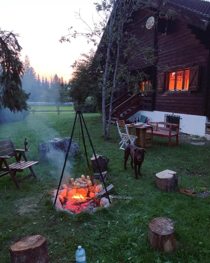Ferienhaus Ella&Puck Bad Mitterndorf Eksteriør billede